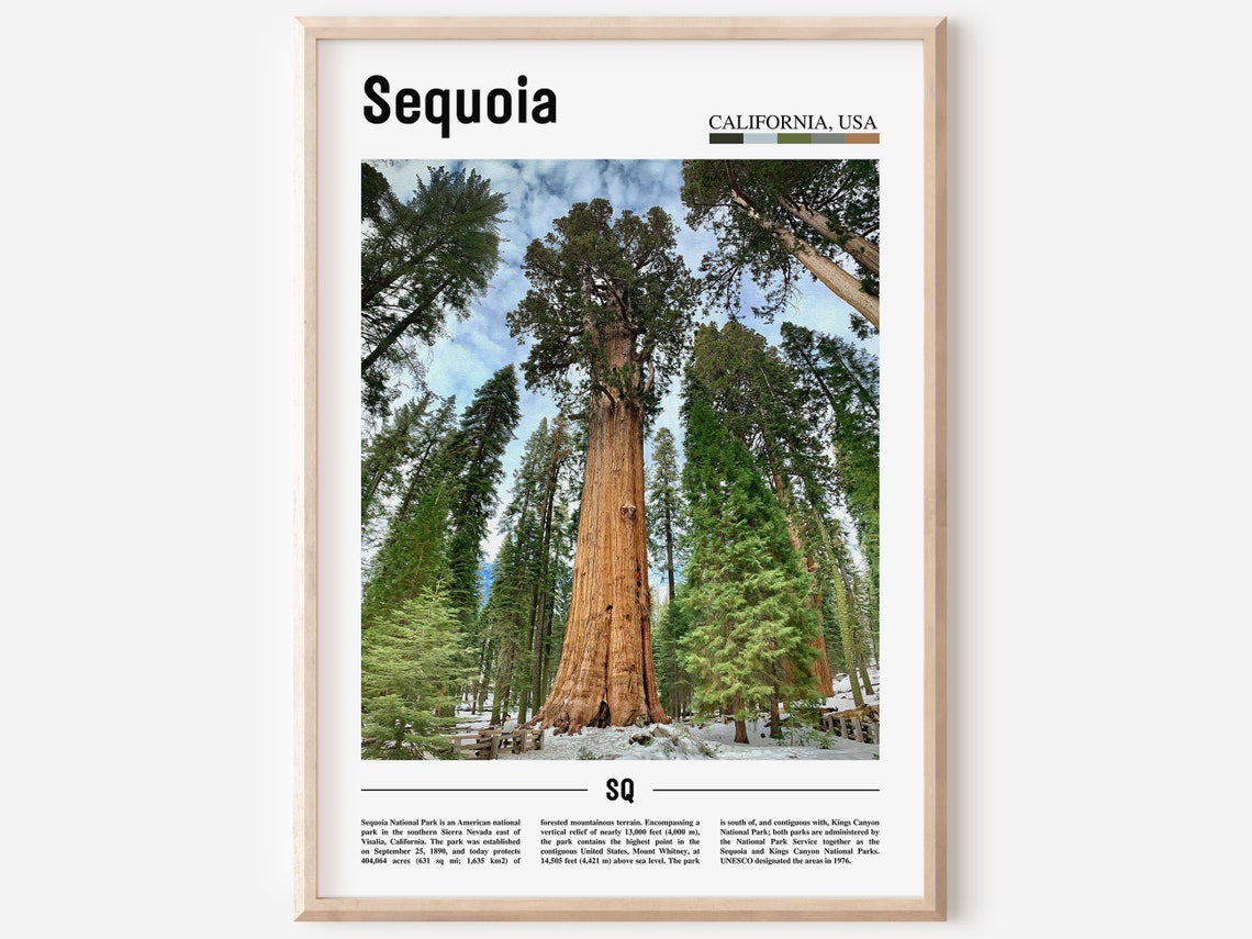 Sequoia Print Sequoia Poster Sequoia Wall Art Minimal Travel Print Minimal City Poster Travel Destination City Print Oil Painting Poster