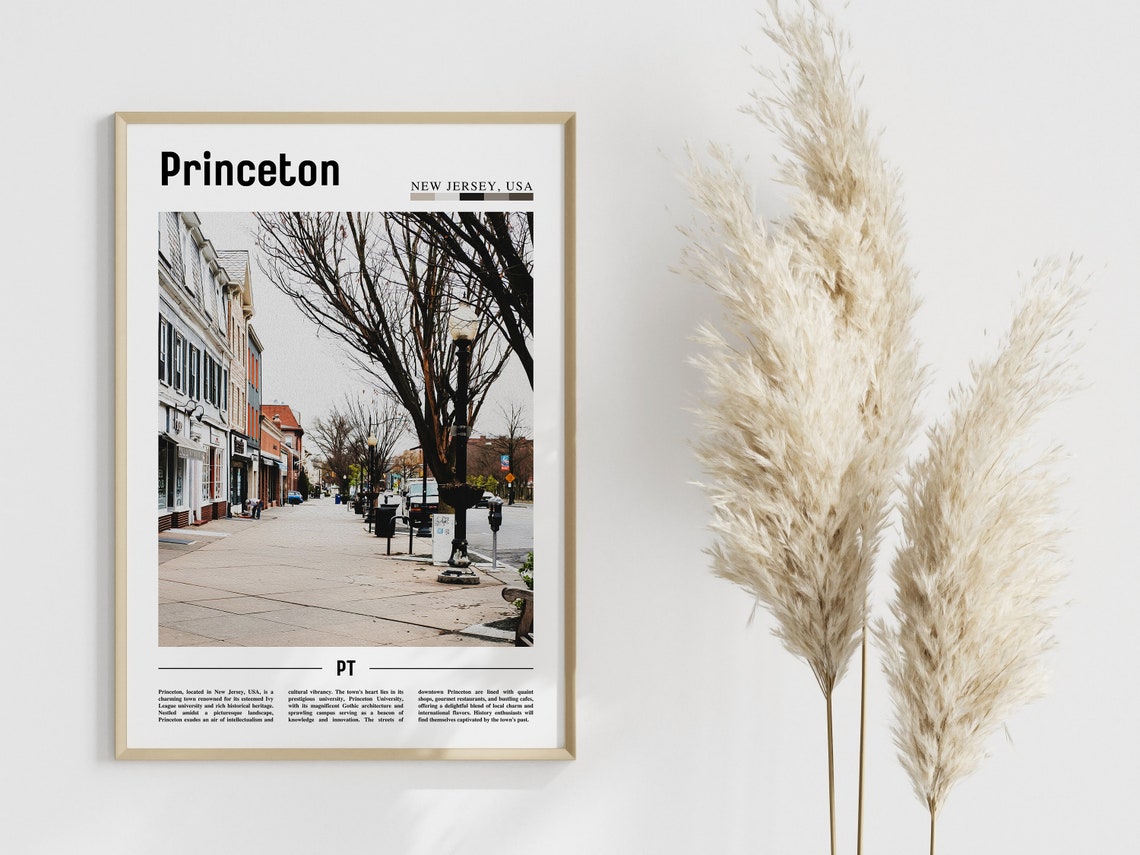 Princeton Poster Princeton Print Princeton Wall Art United States Photo United States Poster United States Print - Image 4