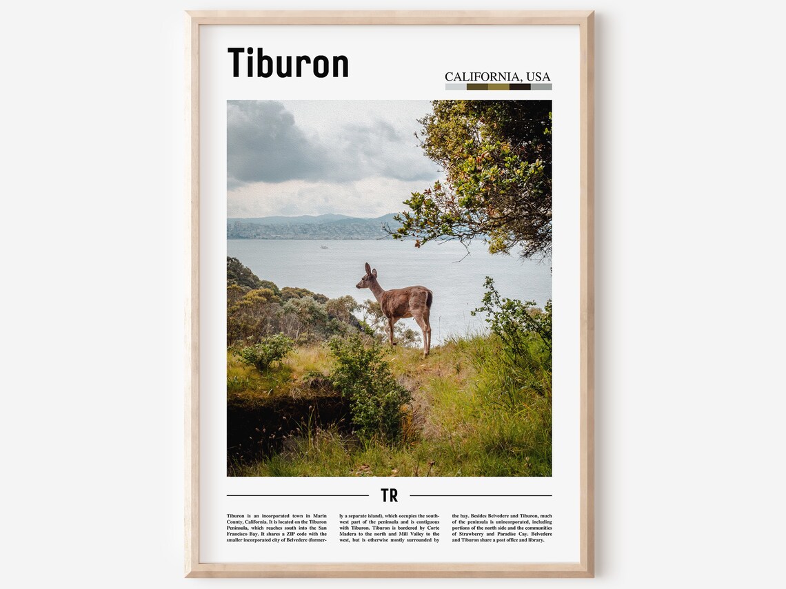 Tiburon Minimal Travel Poster, City Destination