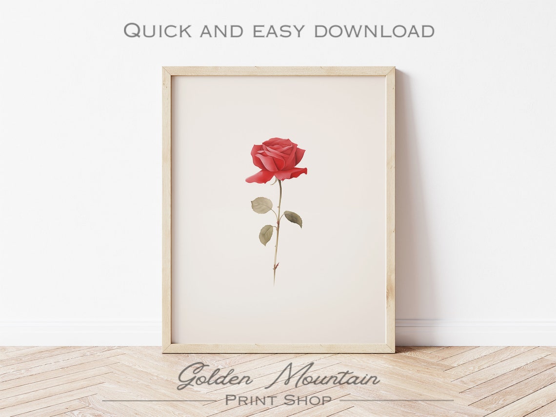 Red Rose Stem Minimalist Botanical Watercolor Valentines Wall Art - Image 3
