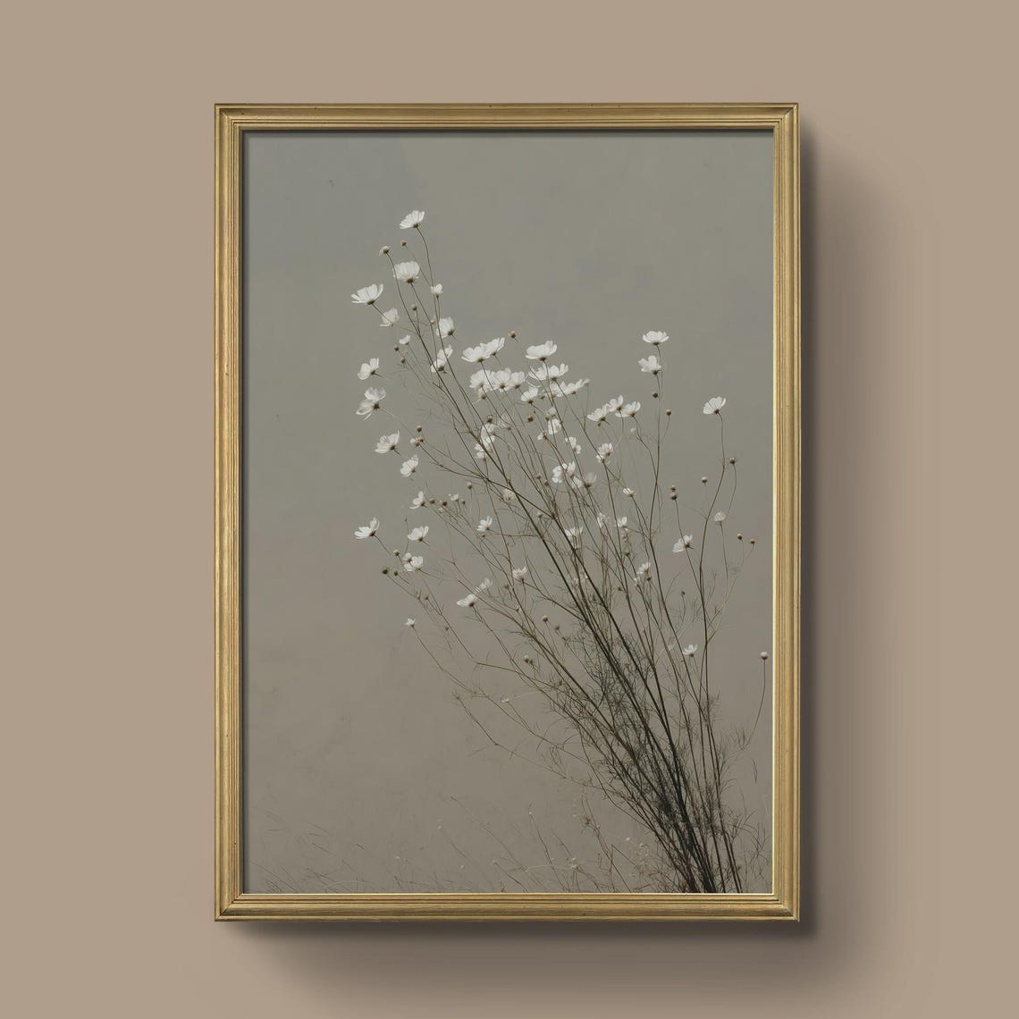 White Cosmos Blossoms Minimalist Botanical Floral Art Poster