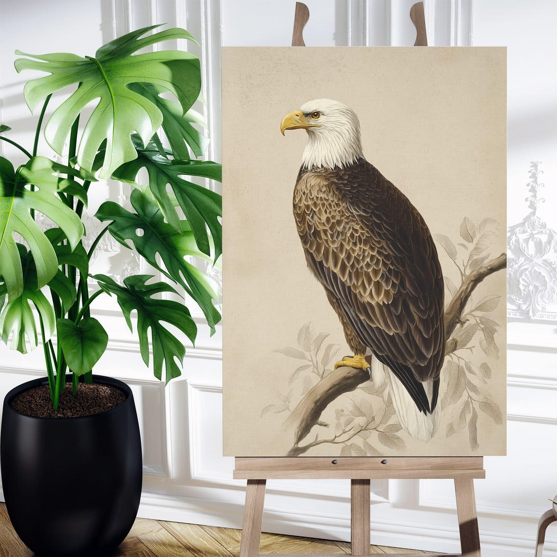 Bald Eagle On Branch Antique Wildlife Portrait Naturalist Print