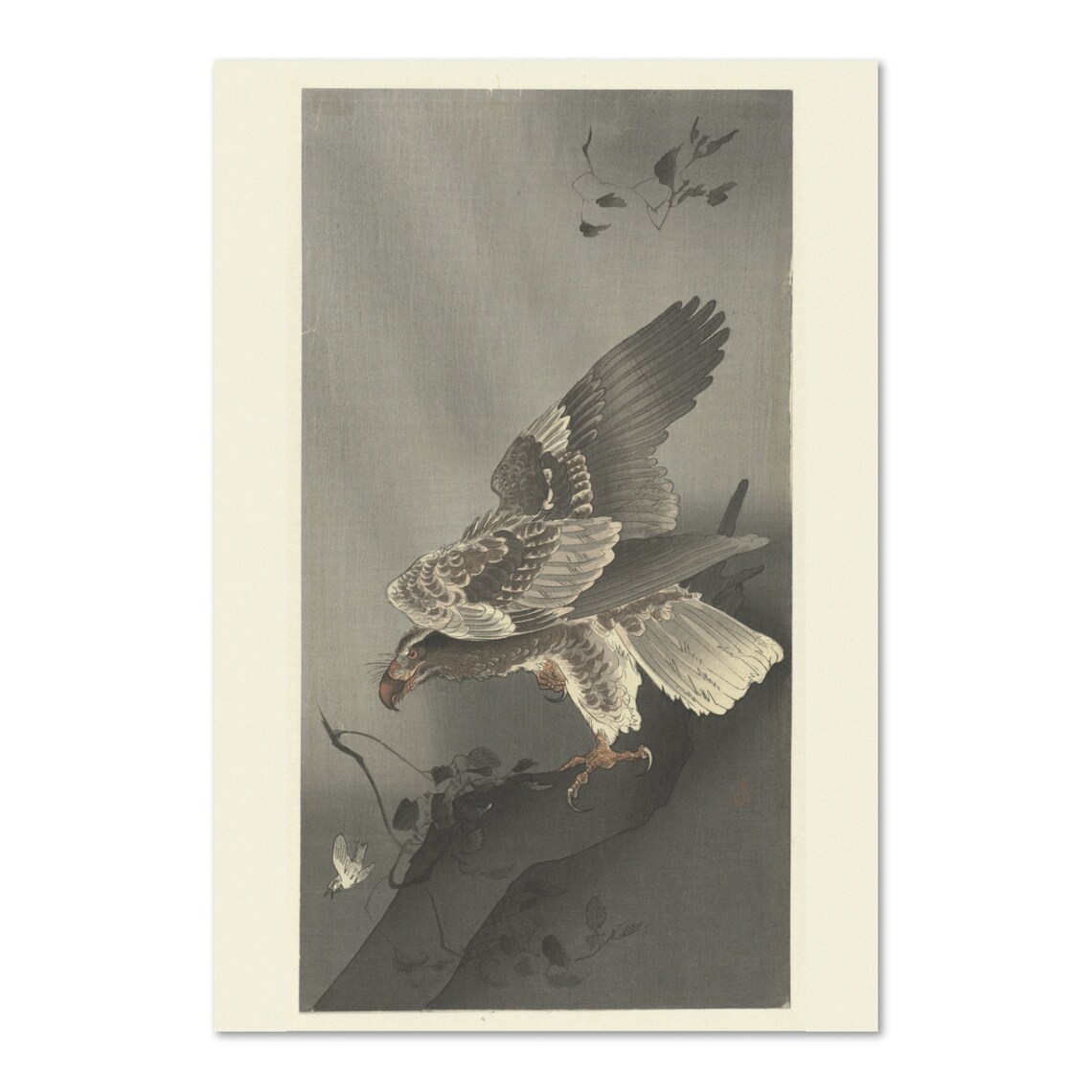 Hawk Landing Pine Branch Japanese Woodblock Bird of Prey Poster