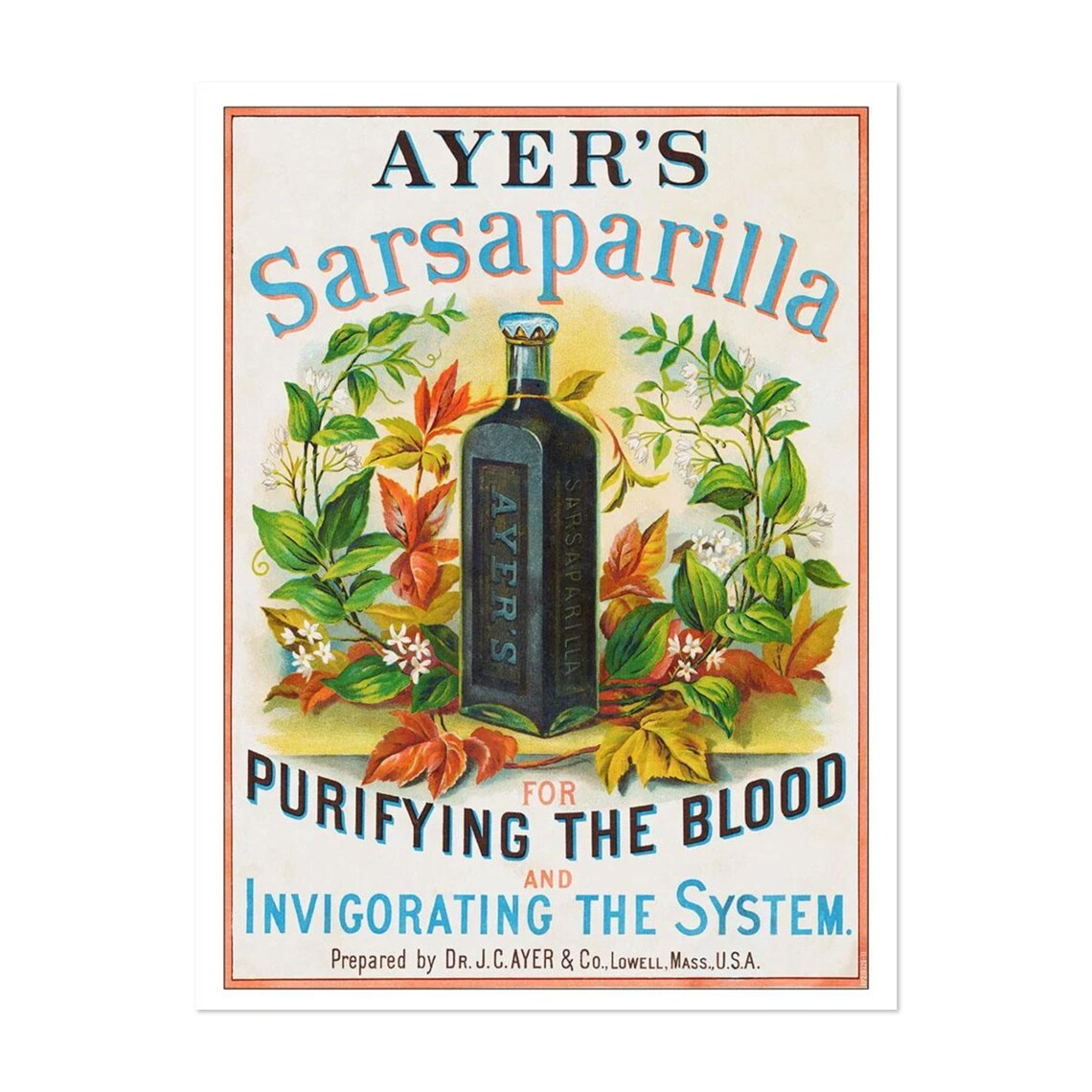 1860s Ayers Sarsaparilla Vintage Patent Medicine Art Print
