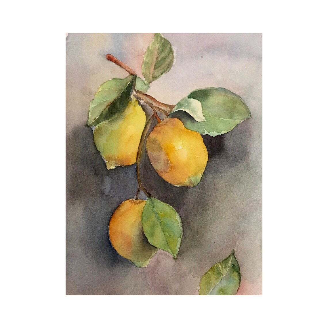 Ripe Lemons on Branch Watercolor Fruit Still Life Art Poster - Image 3