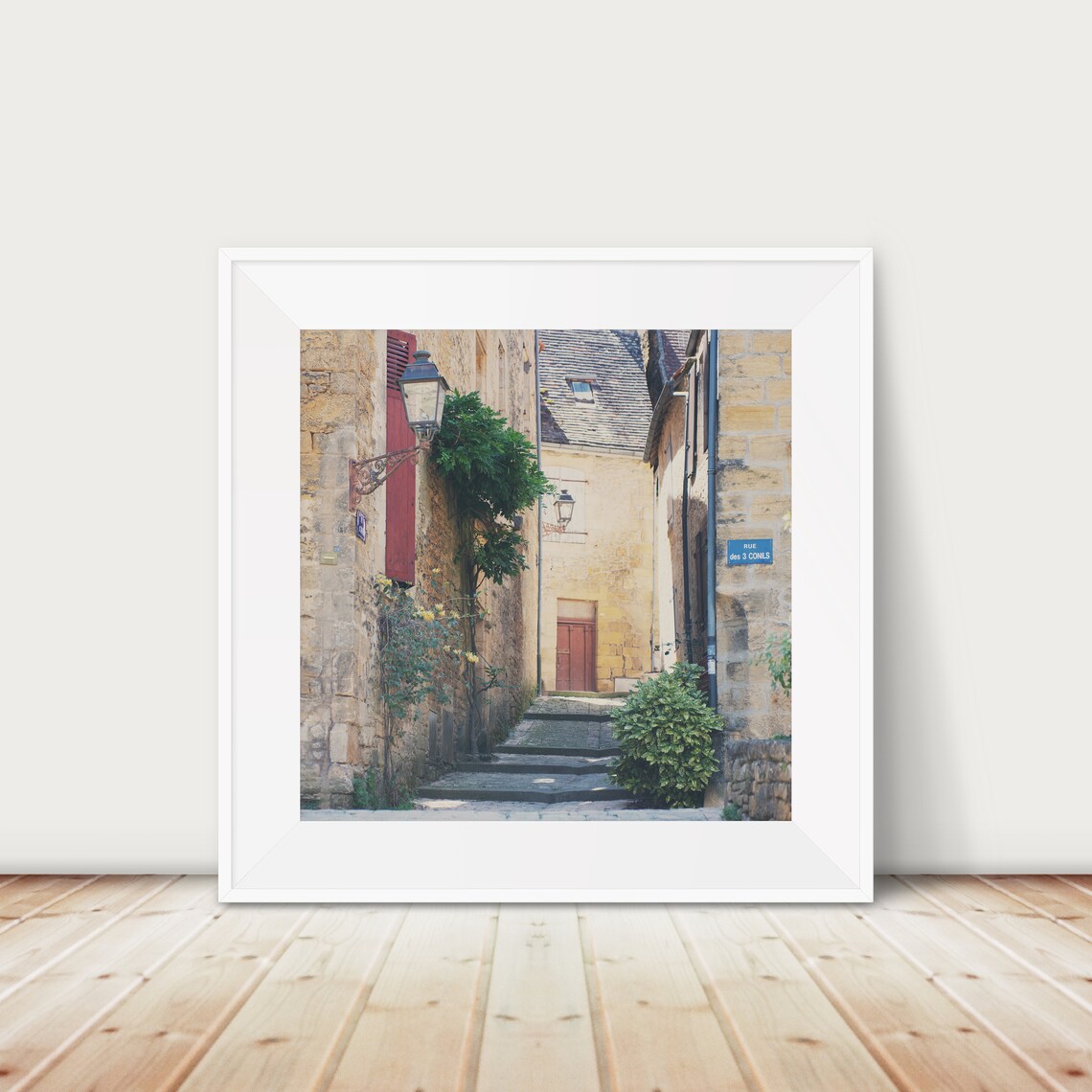 Sarlat France Photograph, Dordogne Red Door Travel Poster