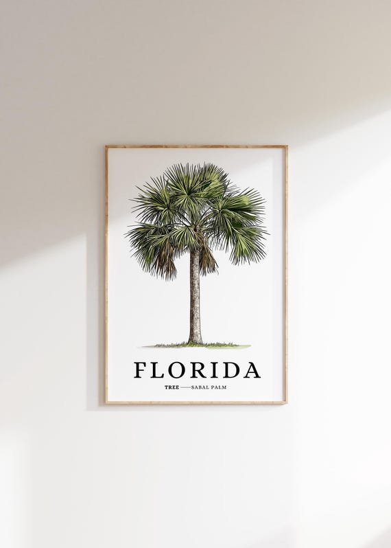 Florida State Tree Print Sabal Palm Tree Southern Wall Art State Symbol Art Minimalist Home Decor Botanical Illustration