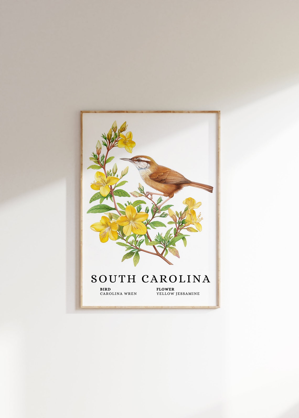 South Carolina Carolina Wren Yellow Jessamine Bird Flower Print