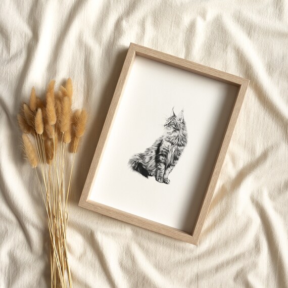 Maine Coon Cat Long Hair Pencil Sketch Pet Portrait Minimalist Art Print