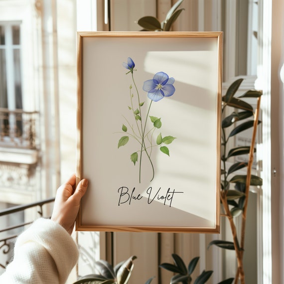 Rhode Island Blue Violet State Flower Line Art Minimalistic Flower Line Art Flower Line Drawing Flower Print Botanical Art