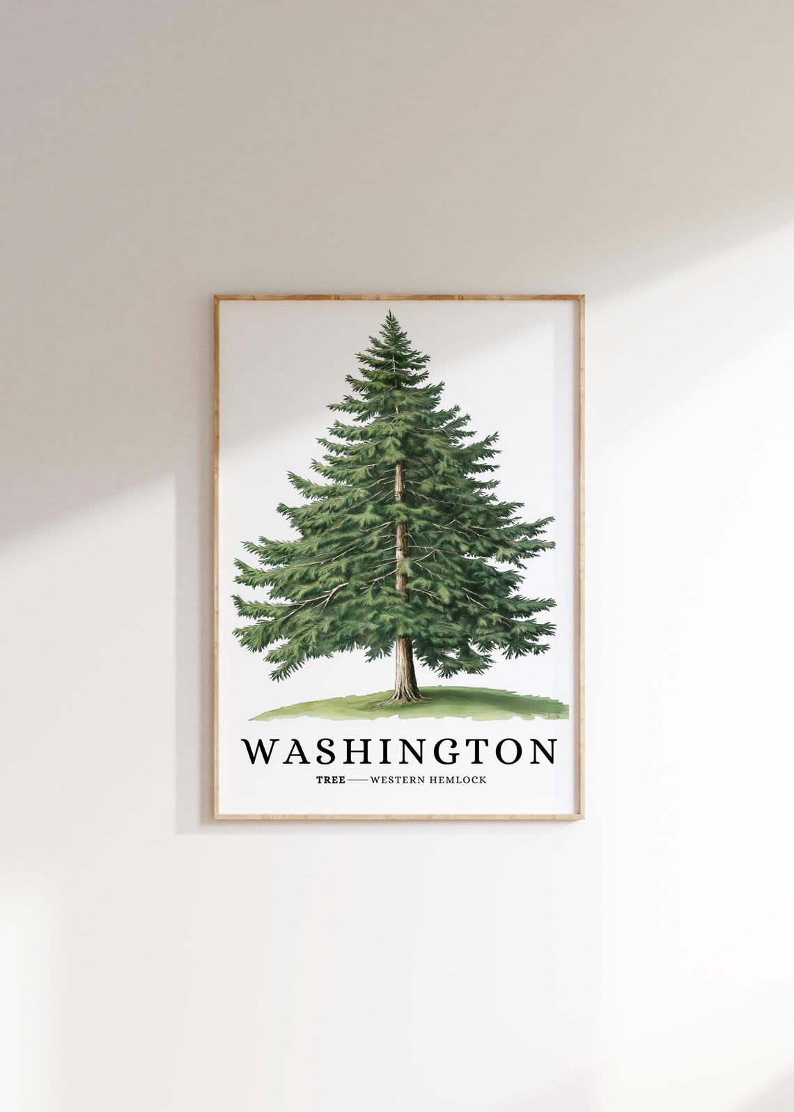 Washington Western Hemlock Tree Botanical Northwest State Poster