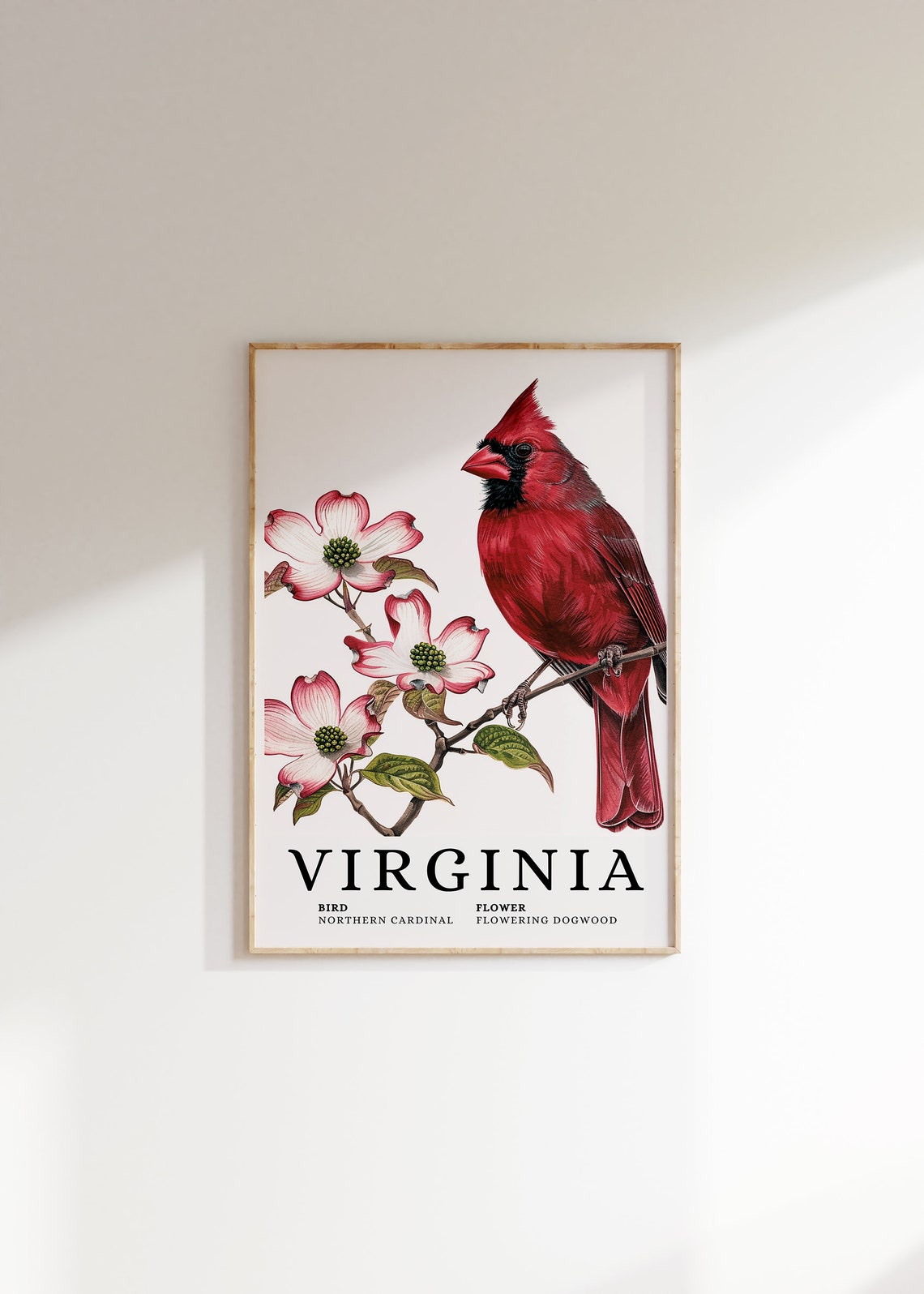 Virginia Northern Cardinal Flowering Dogwood Bird Flower Art Print
