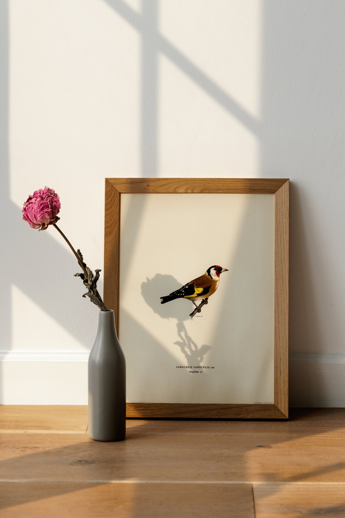 Goldfinch Vintage Bird Art Print, Nature Decor - Image 4