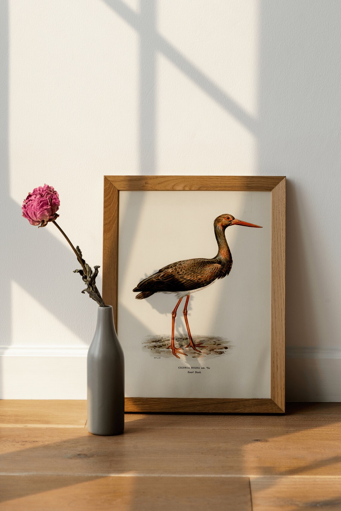 Black Stork Bird Art Print, Vintage Nature Decor - Image 3