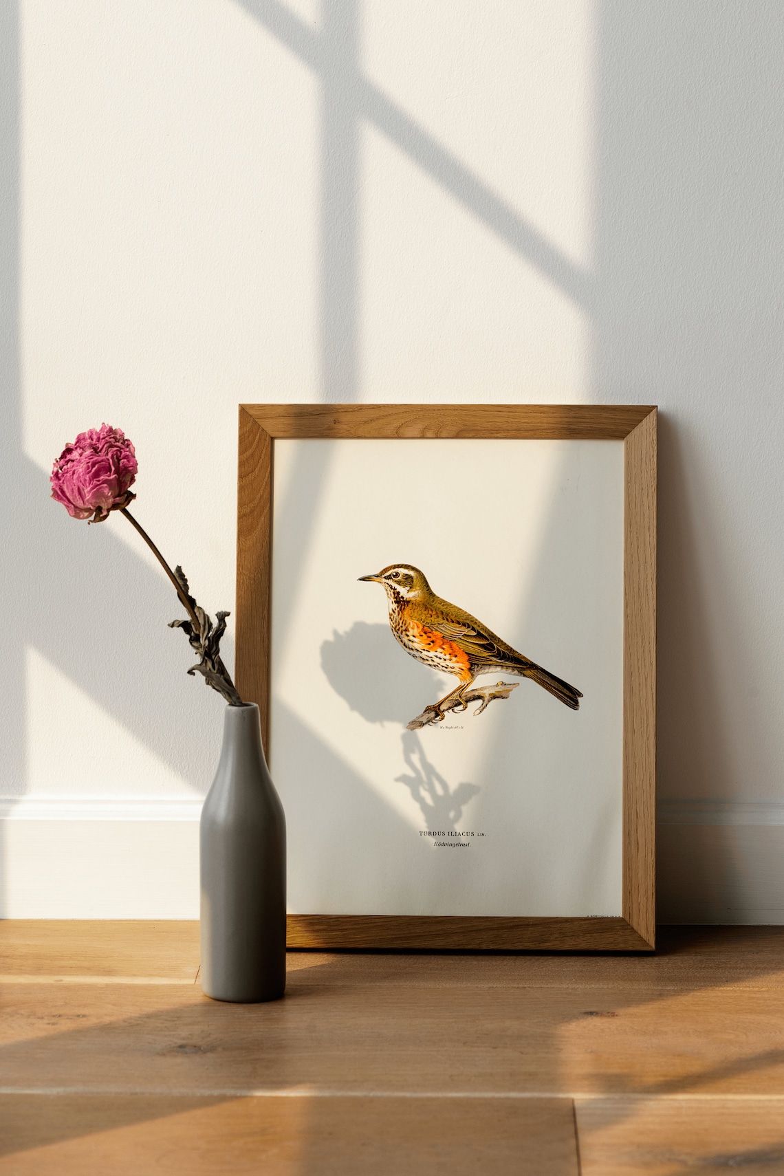 Redwing Bird Vintage Bird Nature Art Print - Image 4