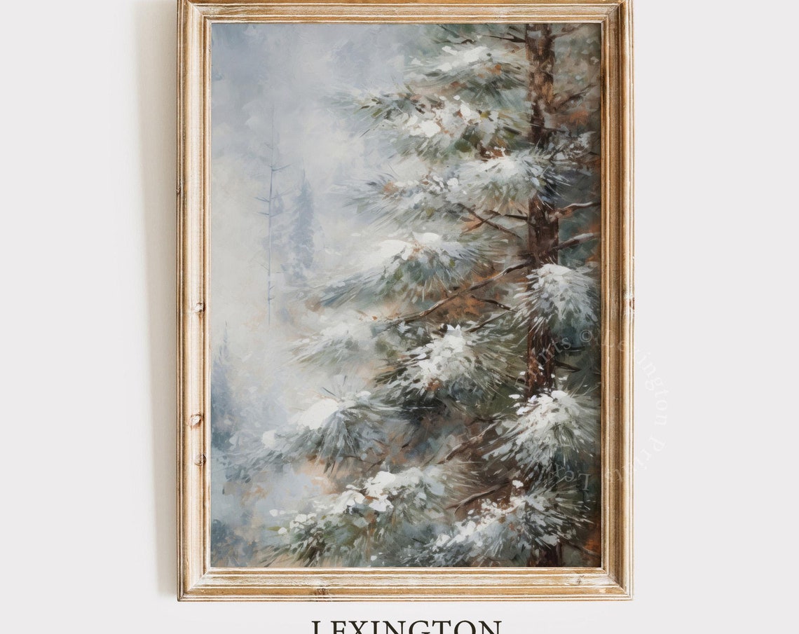 Snow Covered Pine Tree Branches Misty Winter Forest Close Up Poster