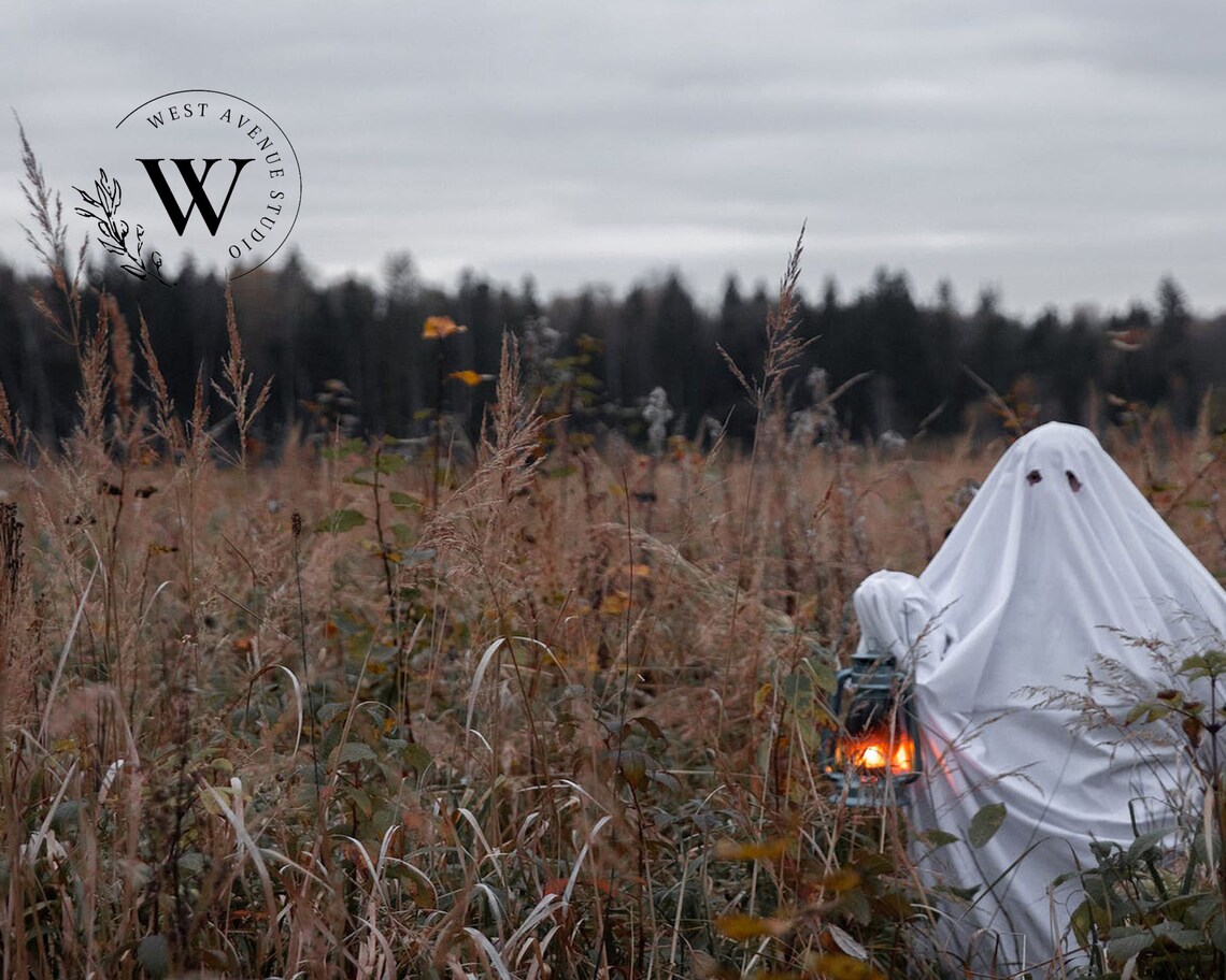 Cute Sheet Ghost Holding Lantern in Fall Meadow Spooky Halloween Photo Poster - Image 3