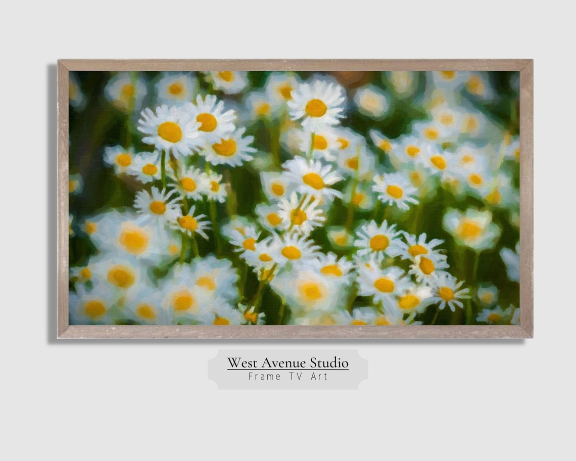 White Daisies Meadow Close Up Spring Flower Field Photography Poster