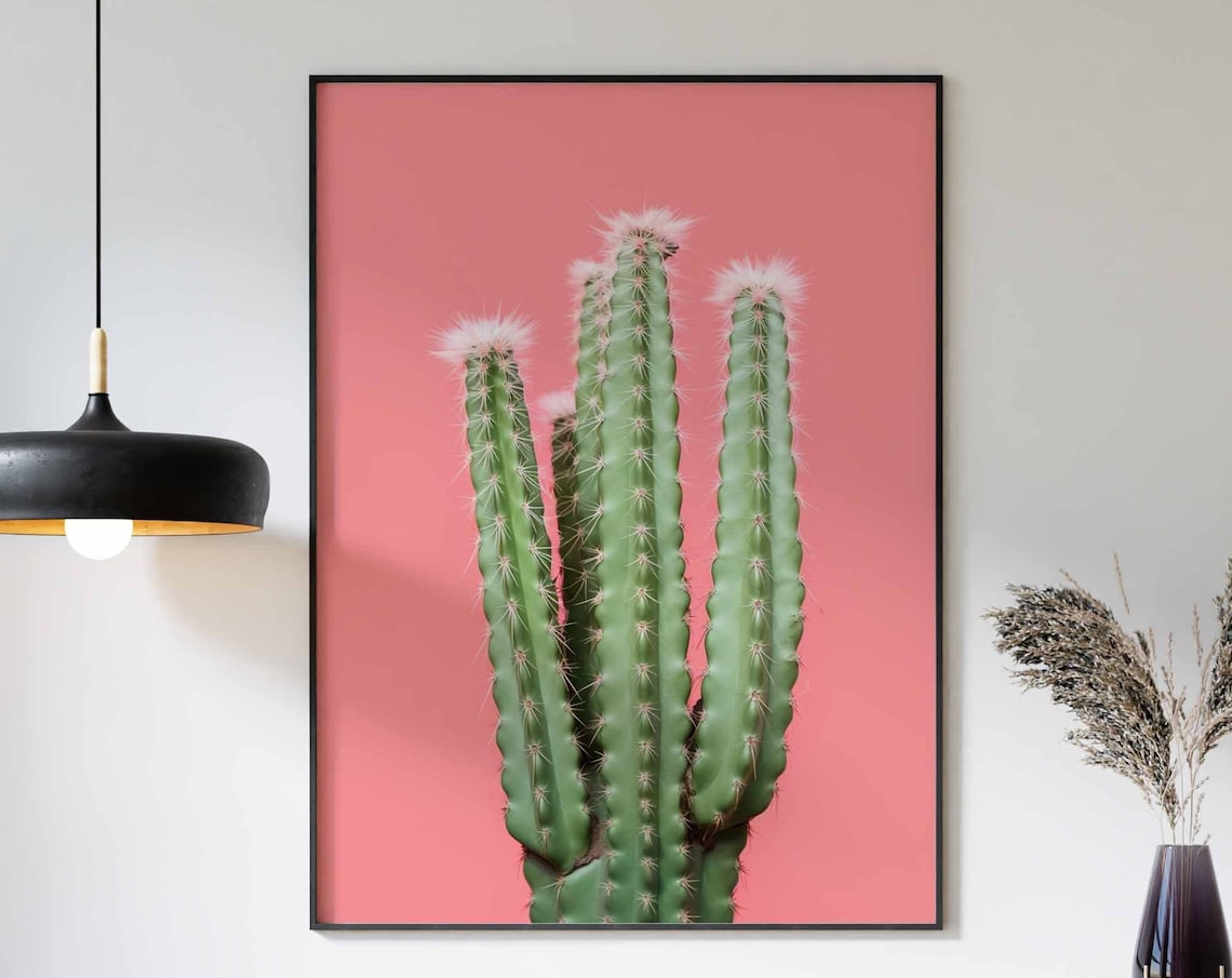 Column Cactus with White Fuzzy Crowns on a Pink Background Poster