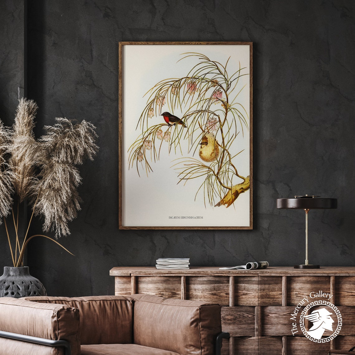 Vintage Mistletoebird Pair Antique Ornithology Illustration Wall Art - Image 4