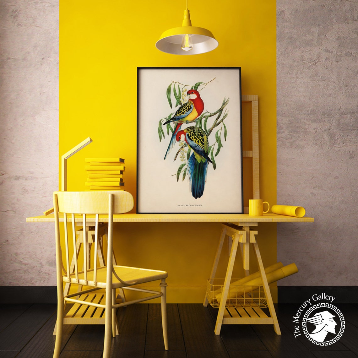 Eastern Rosella Rose Hill Parakeet Vintage Bird Illustration Print - Image 6