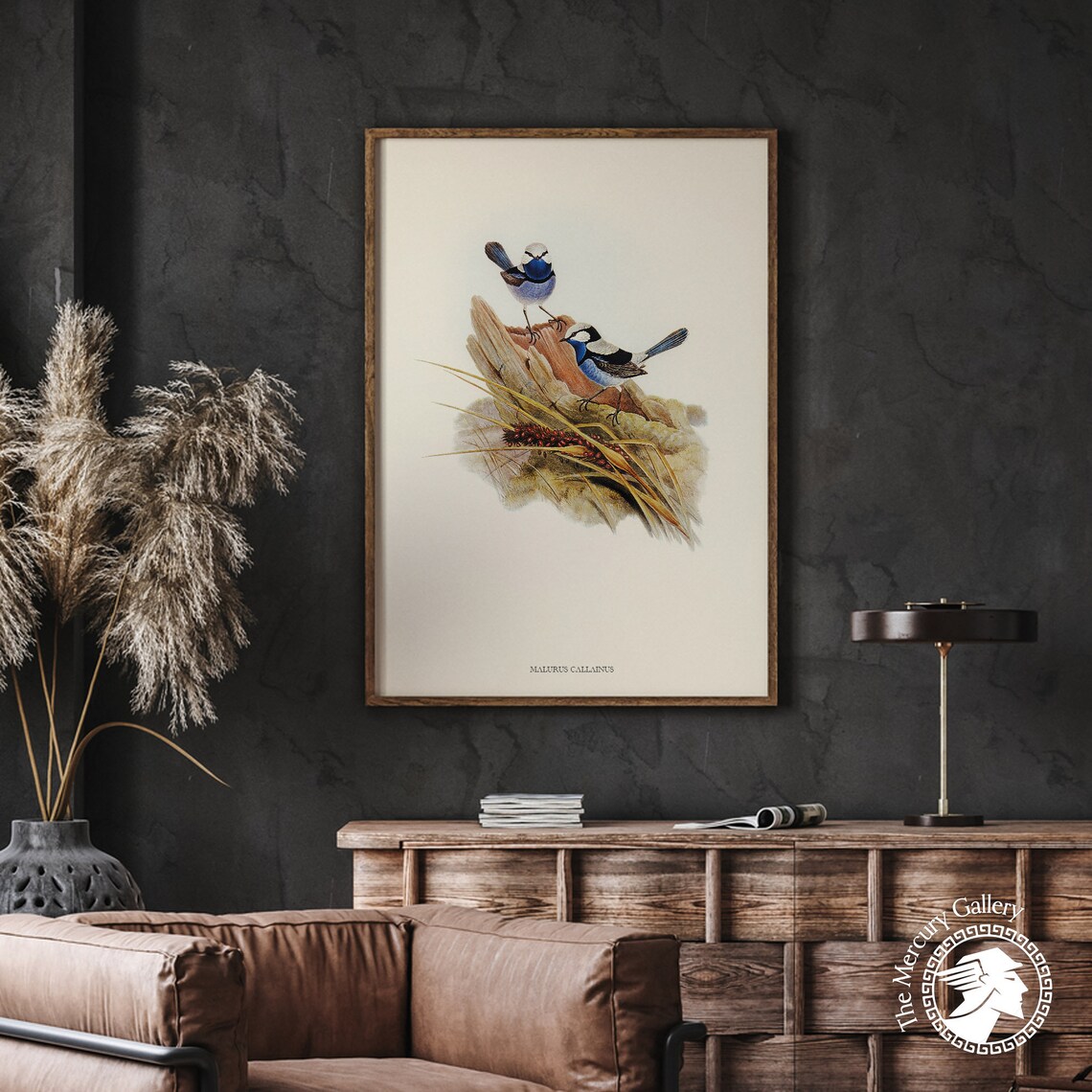 Vintage Turquoise Fairy-Wren Pair Antique Australian Bird Art Print - Image 2