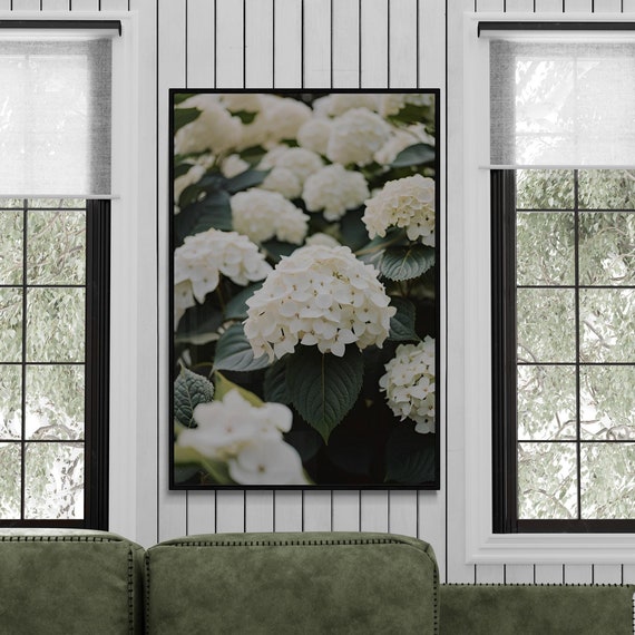 White Hydrangea Botanical Floral Art Flower Market Art Spring Flowers Abstract Design Henri Matisse Style Art