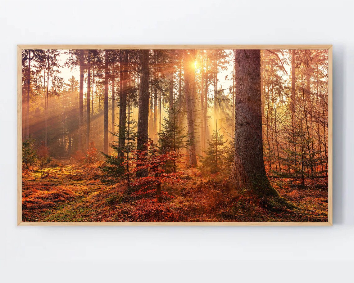 Autumn Forest Colors Art Print, Thanksgiving Decor