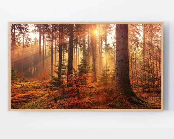 Autumn Forest Colors Art Print, Thanksgiving Decor