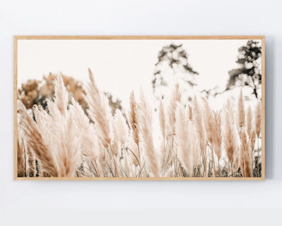 Samsung Frame Tv Art Pampas Grass Dried Modern Farmhouse Botanical For 4k High Resolution