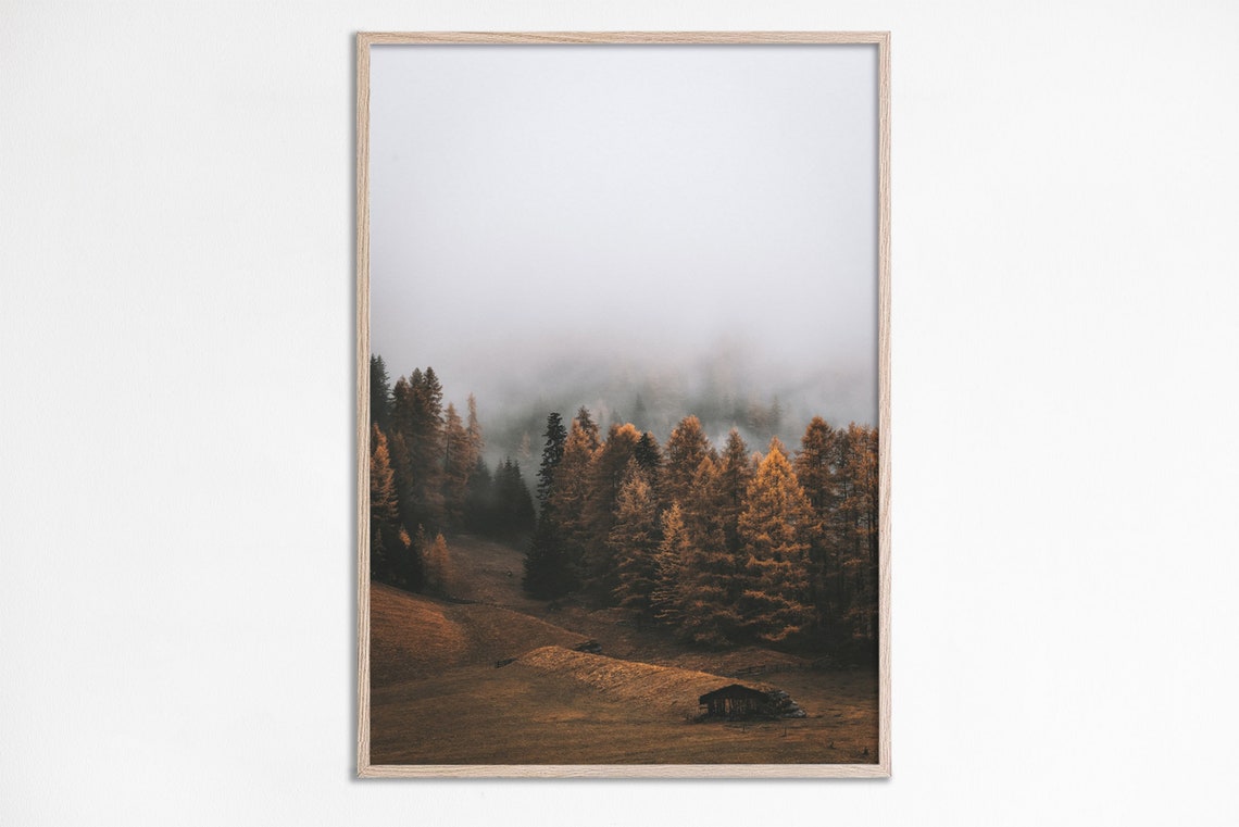 Foggy Autumn Forest Cabin Photography Rustic Nature Escape Poster