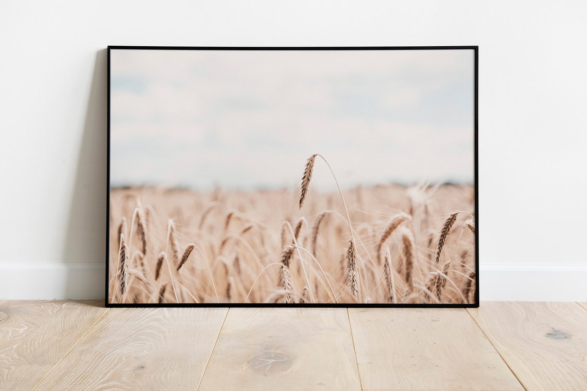 Wheat Field Photo Neutral Beige Tones Modern Farmhouse Wall Poster