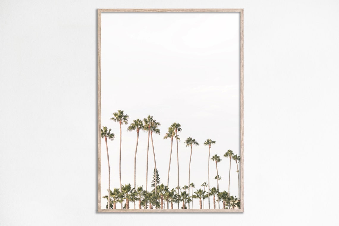 Tall Palm Trees Minimal White Sky Coastal Photography Poster