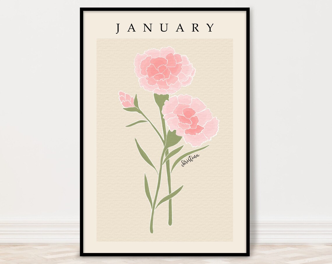 January Carnation Birth Month Flower Art Print