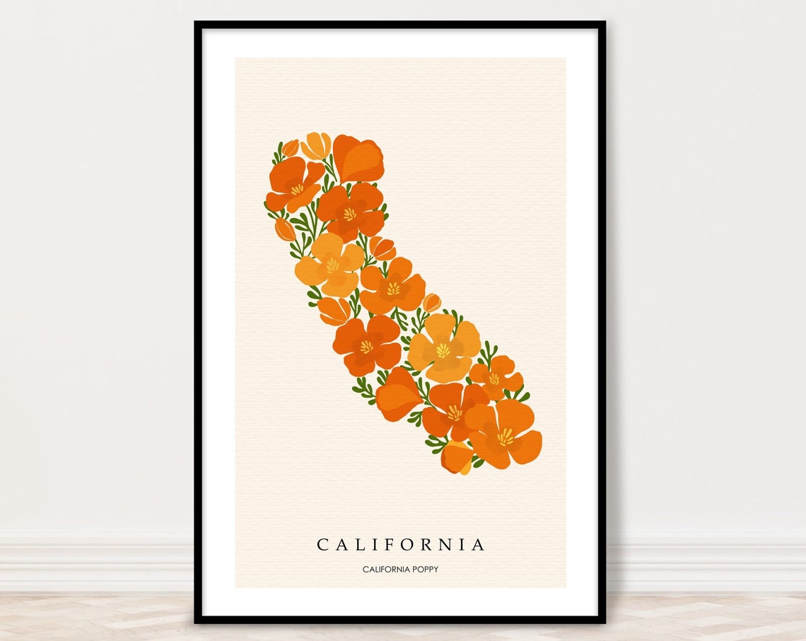 California Poppy State Flower Map Botanical Illustration Poster