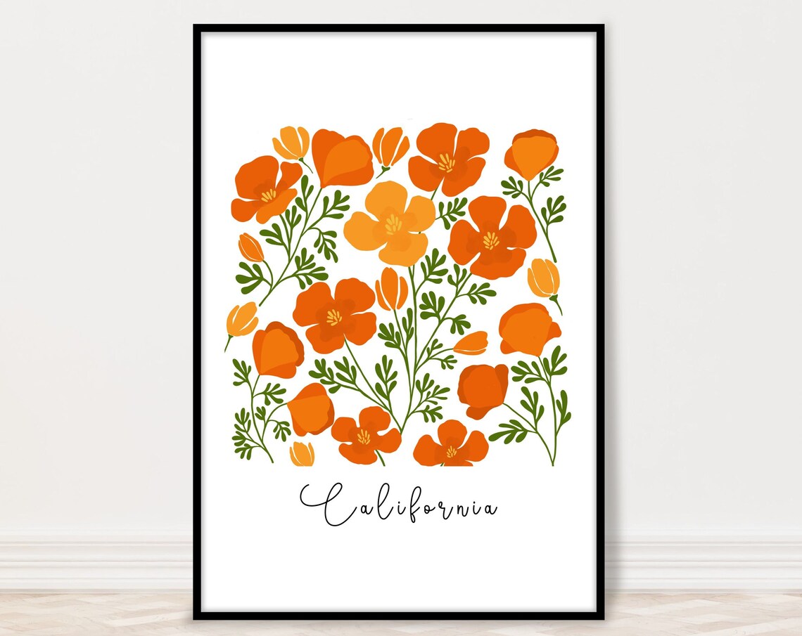 California Orange Poppy Wildflower Botanical Illustration Poster