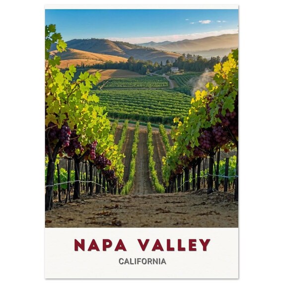Napa Valley California Poster Lush Vineyard Rows with Ripe Red Grapes