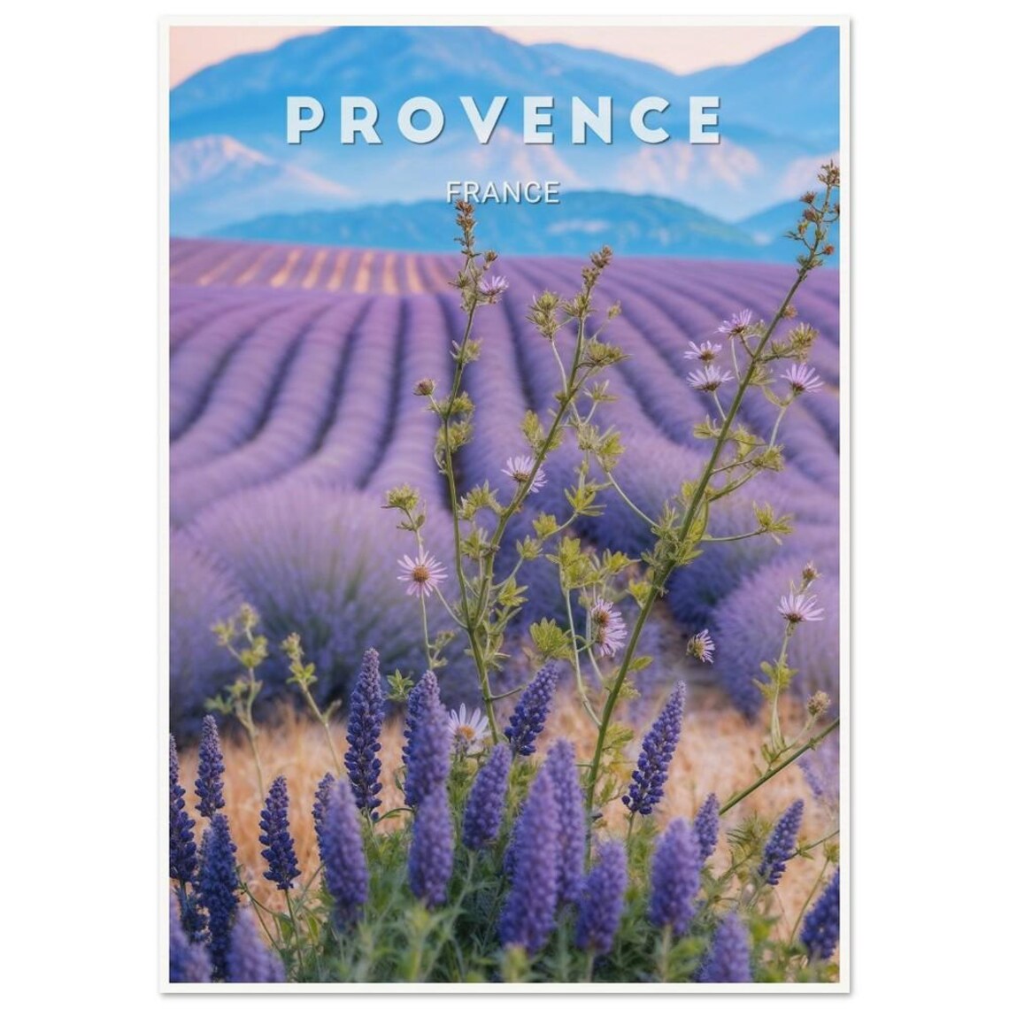 Provence Lavender Bloom Close Up Mountains France Travel Poster