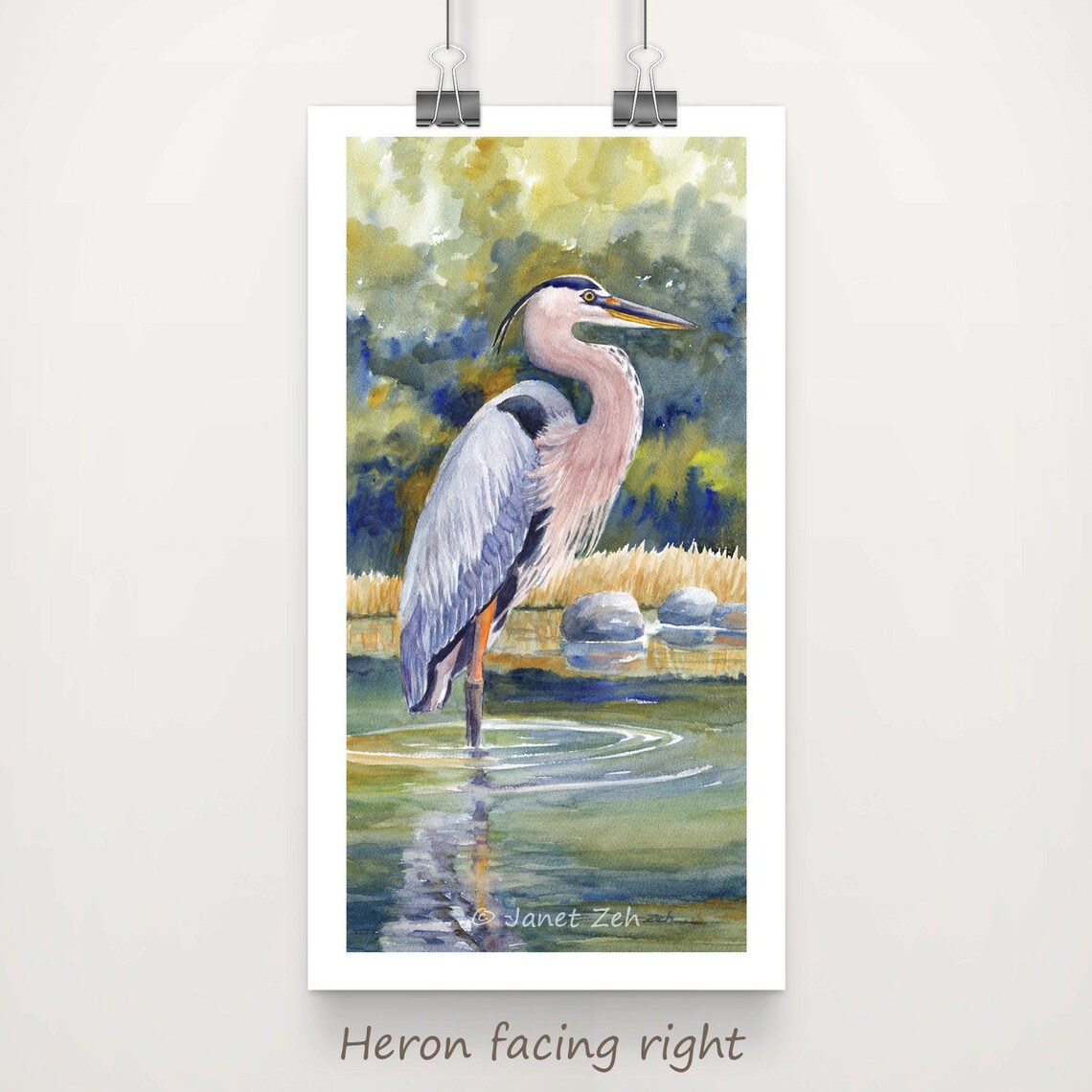 Great Blue Heron, Vertical Nature Wall Art Print