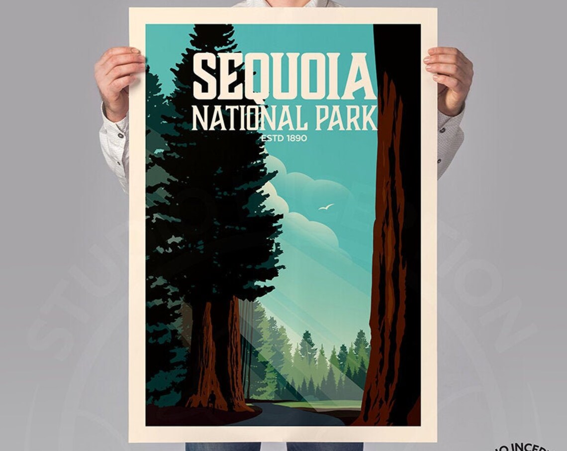 Sequoia National Park Travel Poster, Studio Inception - Image 3