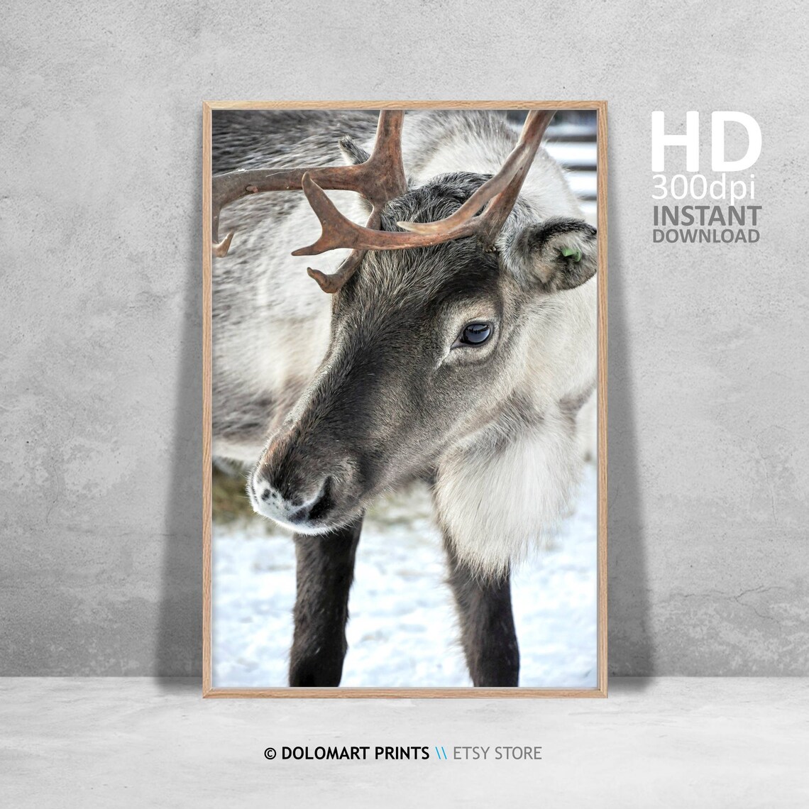 Rustic Reindeer Art Print, Christmas Holiday Decor - Image 4