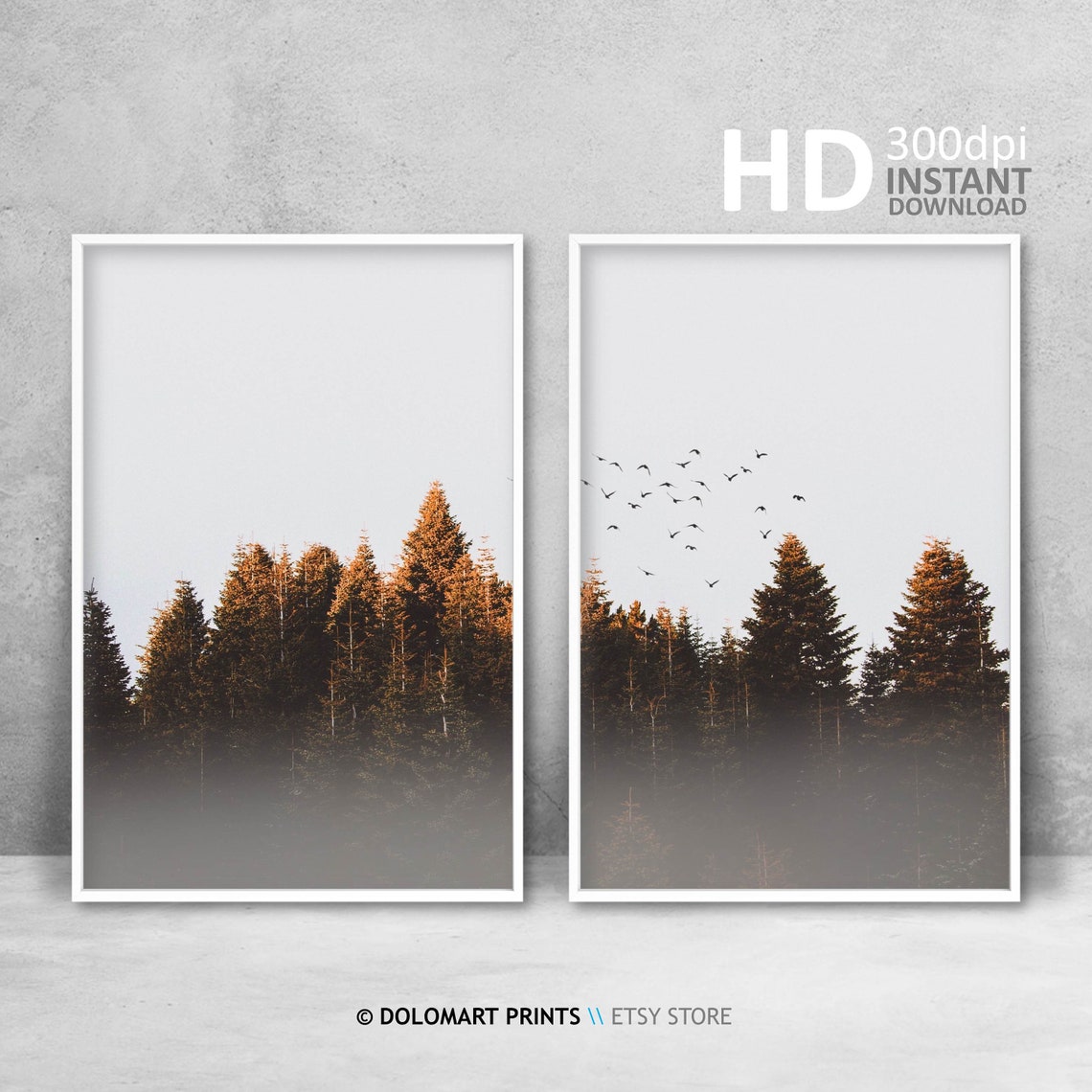 Scandinavian Minimal Forest Print Tree Print Horizontal Prints Pine Tree Prints Rustic Wall Decor Nature Photography Prints - Image 4