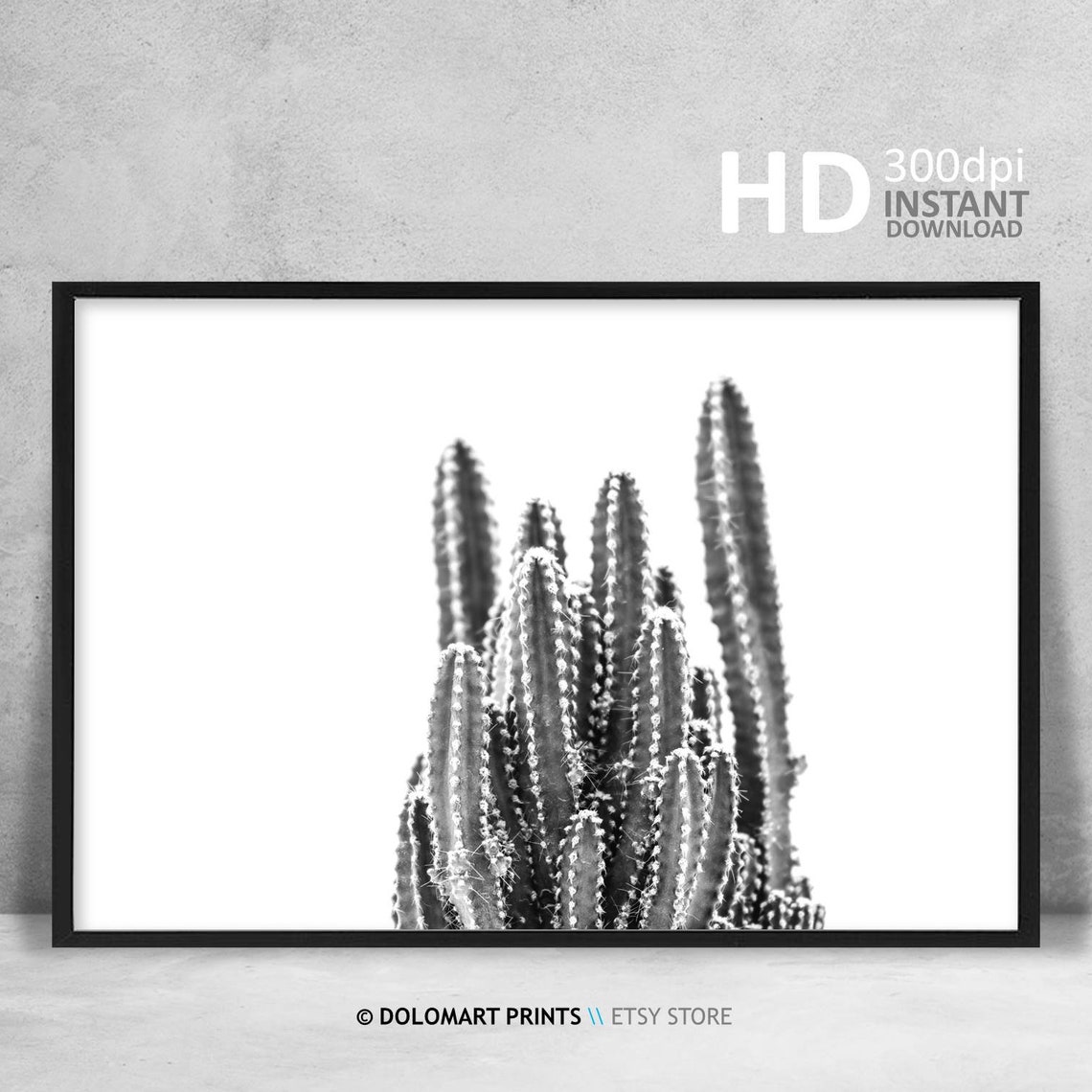 Black And White Cactus Cluster On White Background Desert Plant Poster - Image 4