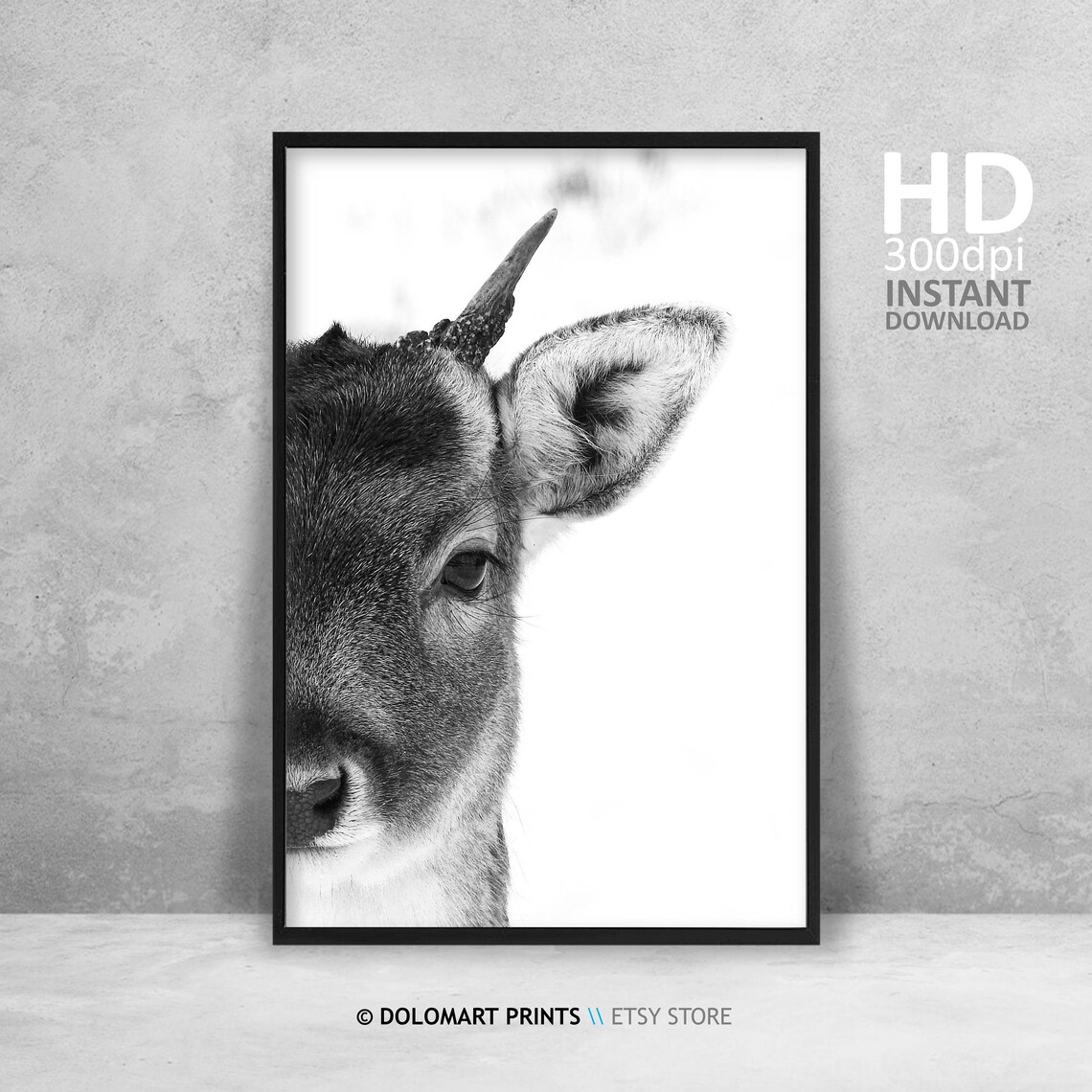 Deer Wall Art, Wilderness Photography Art Print - Image 4
