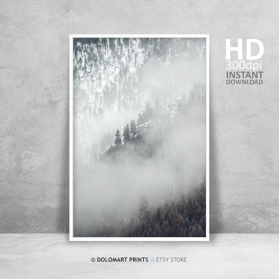 Black And White Minimal Forest Landscape Art Print