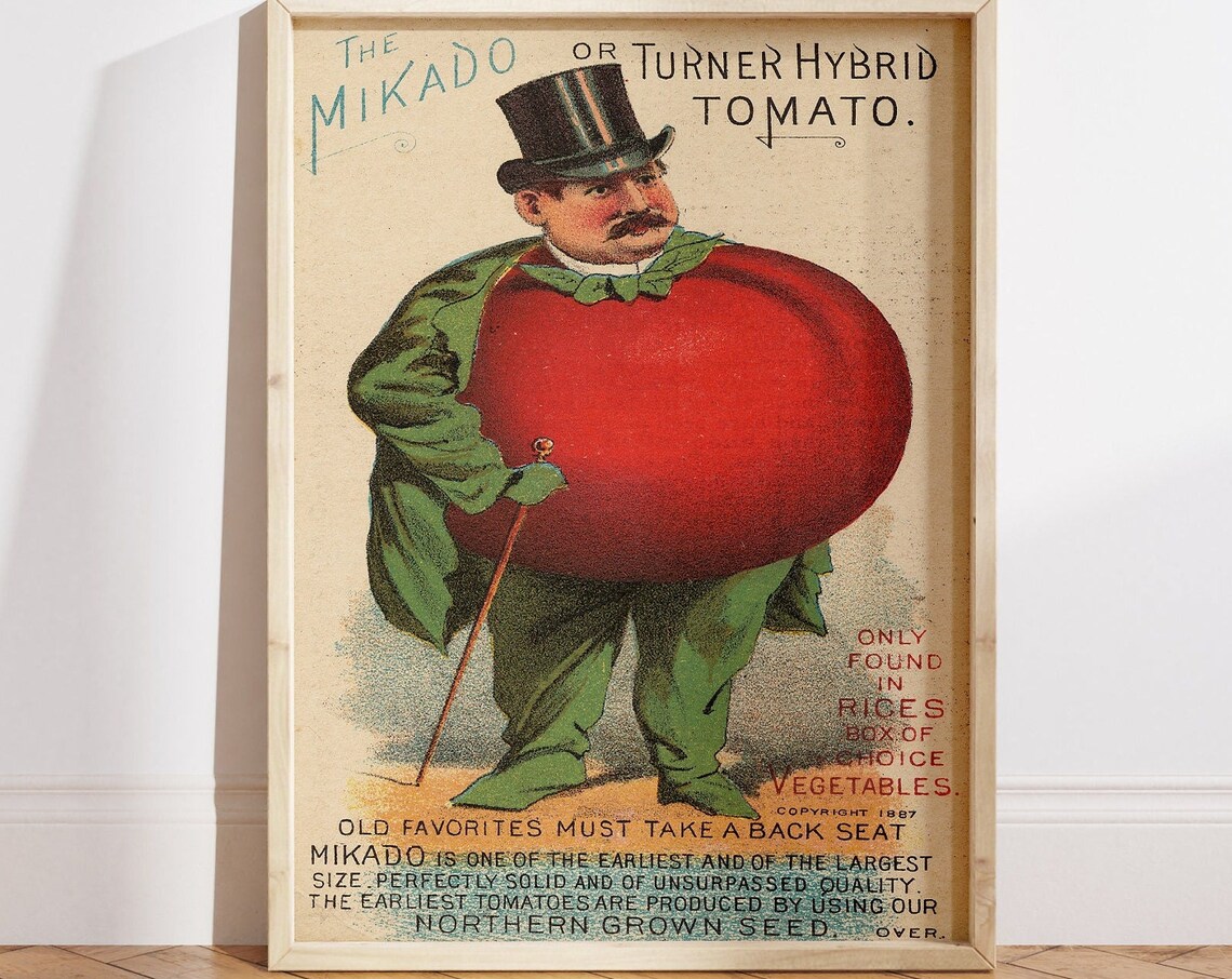 Victorian Tomato Man Vintage Kitchen Art Print