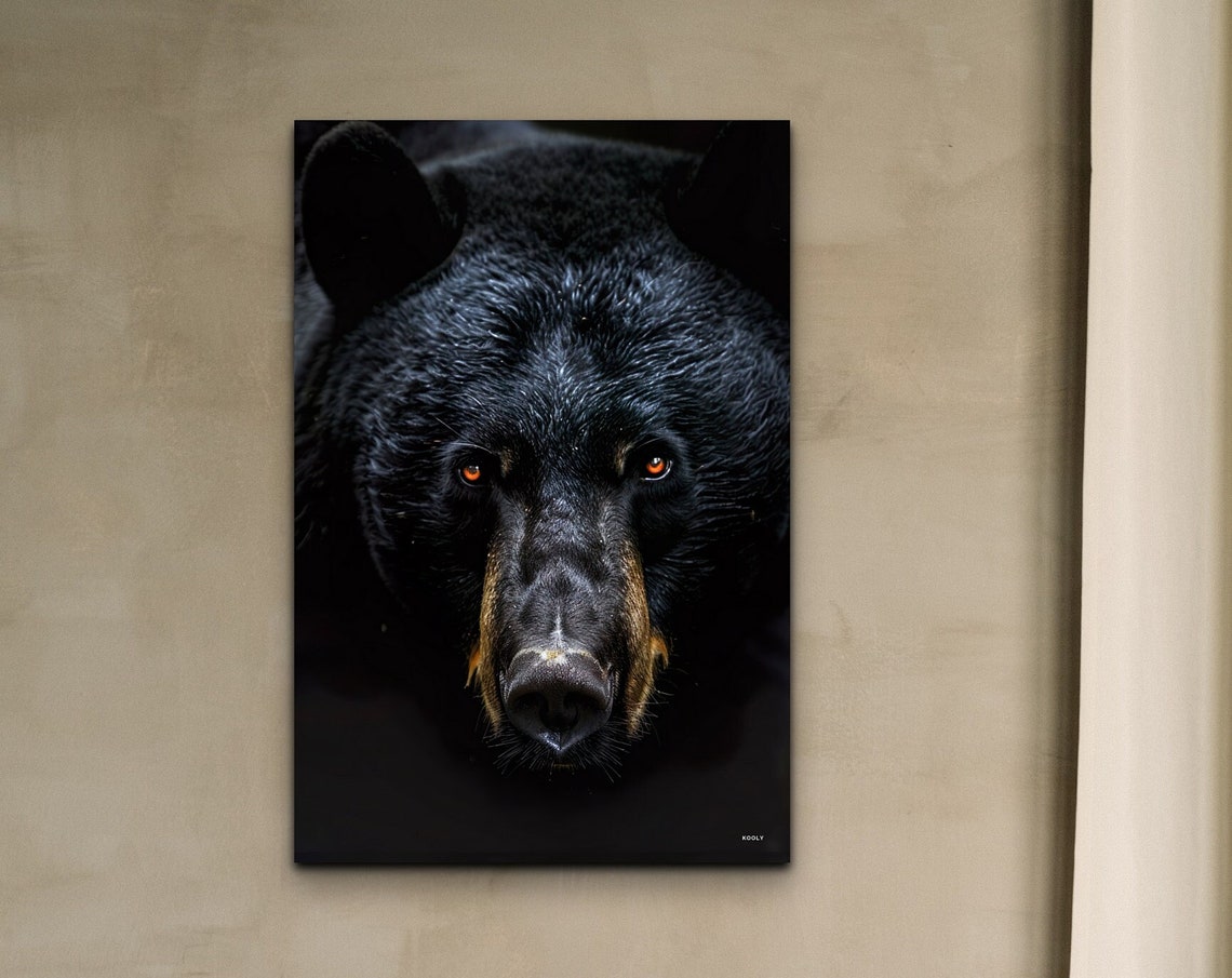 Black Bear Face Portrait Dramatic Dark Background Wildlife Wall Art
