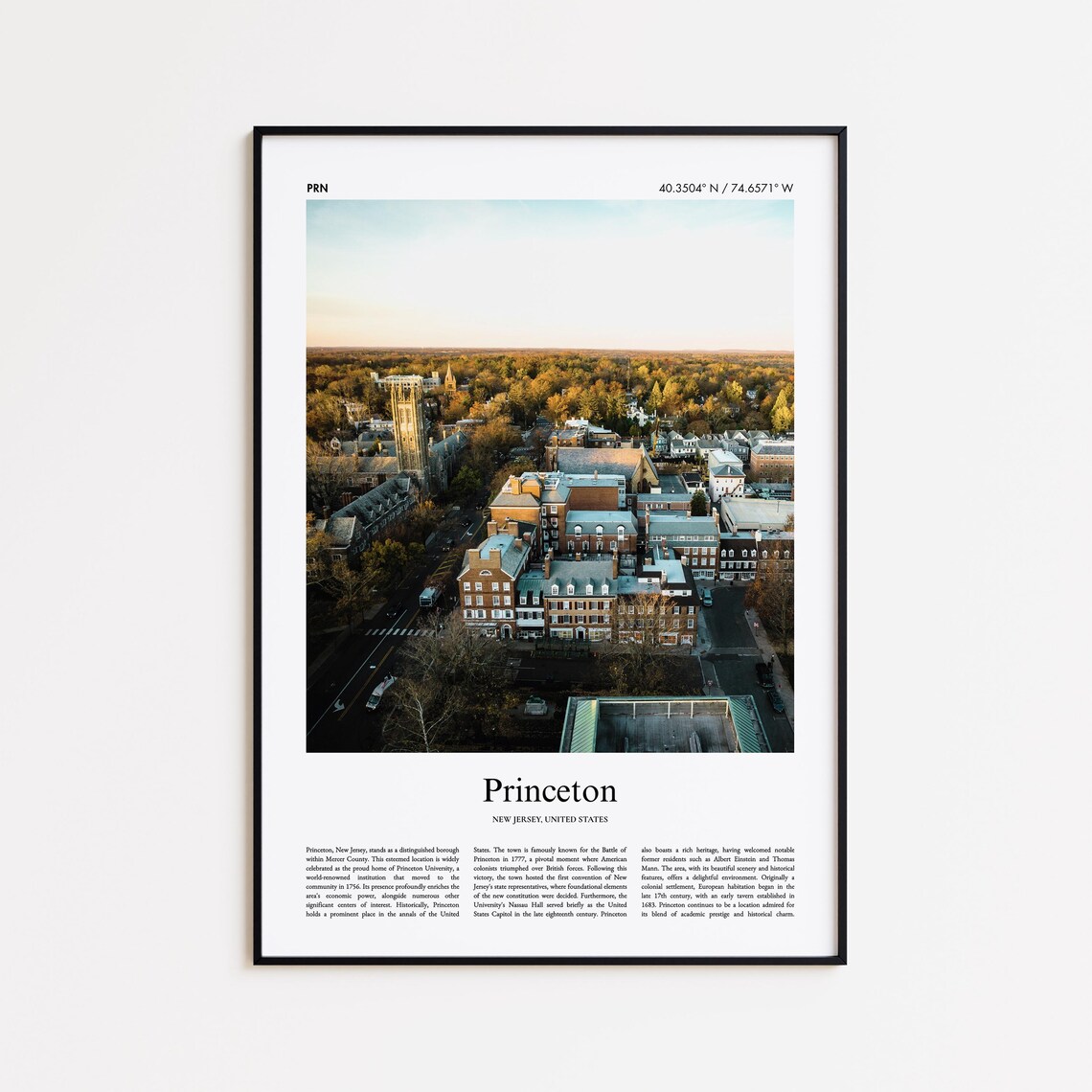 Princeton New Jersey University Campus Aerial View Travel Poster