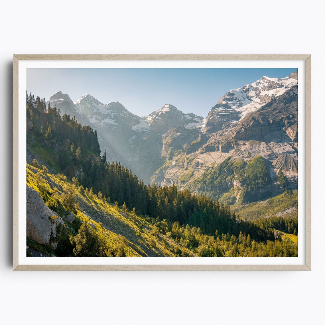 Snow Covered Mountain Peaks Above a Sunlit Pine Forest Valley Poster