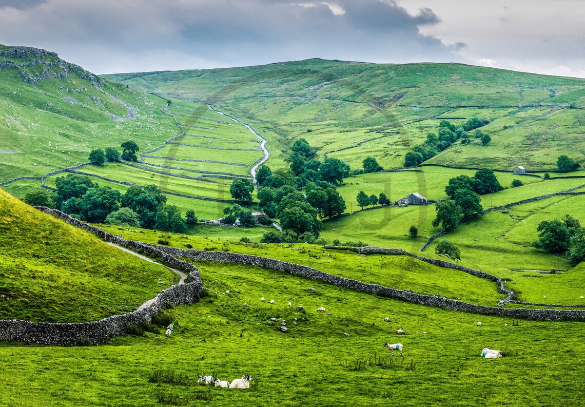 Yorkshire Dales Countryside Travel Poster, England - Image 3